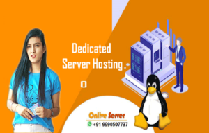 Effective Tips To Select The Top-Notch Dedicated Hosting Server for Your Businesses