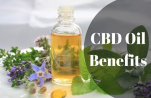 Remarkable Therapeutic Benefits of CBD Oil